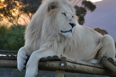 Bilde_11.07.2017_16.43.29_1633000986