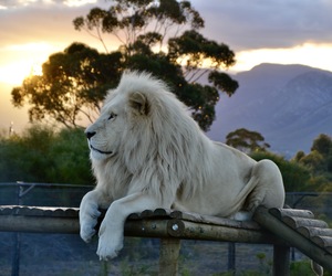 Saturday Sunset Visits