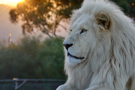 Bilde_11.07.2017_16.44.33_1633000986