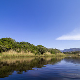Down The River - Alpha Sierra Adventures - Xplorioâ„¢ Stanford