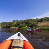 View of Team - Alpha Sierra Adventures - Xplorioâ„¢ Stanford