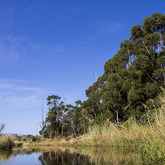 Nature View - Alpha Sierra Adventures - Xplorioâ„¢ Stanford