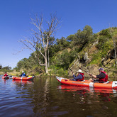 Guided River Trip - Alpha Sierra Adventures - Xplorioâ„¢ Stanford