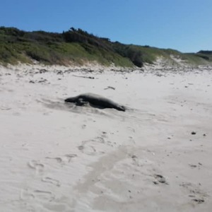 243669905_4690637694321049_4882709931735438313_n_1633334514