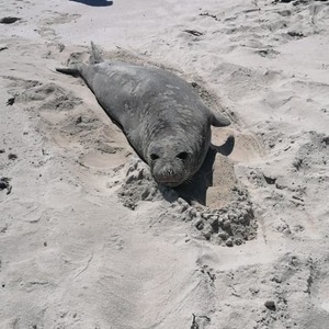 243766238_4690637884321030_4615480184011864245_n_1633334514