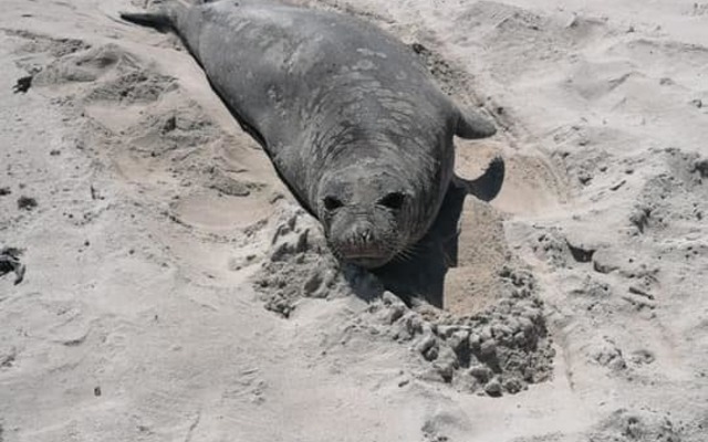 243766238_4690637884321030_4615480184011864245_n_1633334514