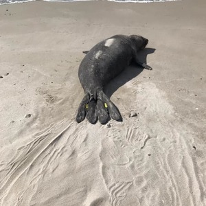 244167416_4690637697654382_9115998938724763724_n_1633334513