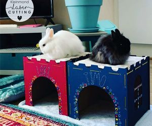 Bunny Houses