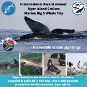 Next Dyer Island Marine Big 5 Tour: 5Â October 2021