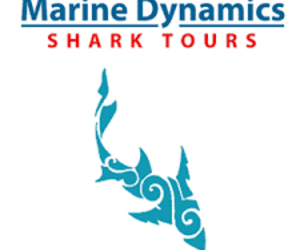 Next Marine Dynamics Shark Cage Diving Trip: 5 October 2021