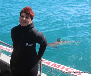 Daily Blog: 05 October 2021 | Shark Cage Diving in South Africa