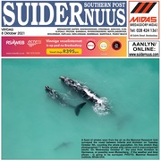 Suidernuus / Southern Post |Â 8 October 2021