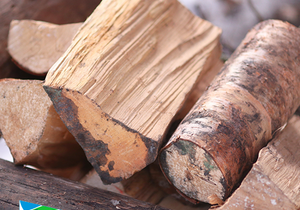 Camping Tip:Â Place Dry Firewood Under Your Car