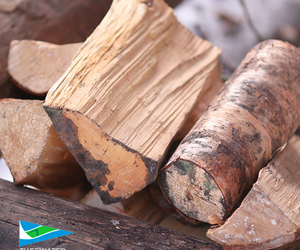 Camping Tip:Â Place Dry Firewood Under Your Car