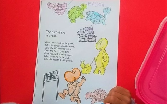 PK_Number_Fun_1634030492