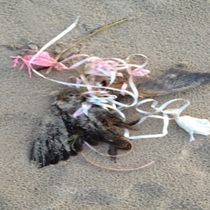 245088616_4723323504385801_4471560170876722103_n_1634039336