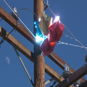 245175666_4723323844385767_7930418587684630475_n_1634039337