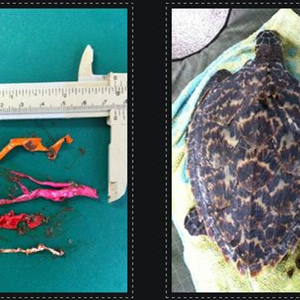 245229374_4723290207722464_9107147502858419250_n_1634039335