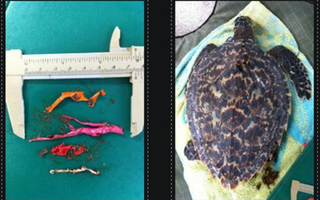 245229374_4723290207722464_9107147502858419250_n_1634039335