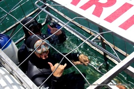 Daily Blog: 13 October 2021 | Shark Cage Diving in South Africa