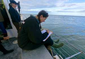 Research and Data Capturing