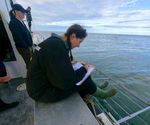 Research and Data Capturing