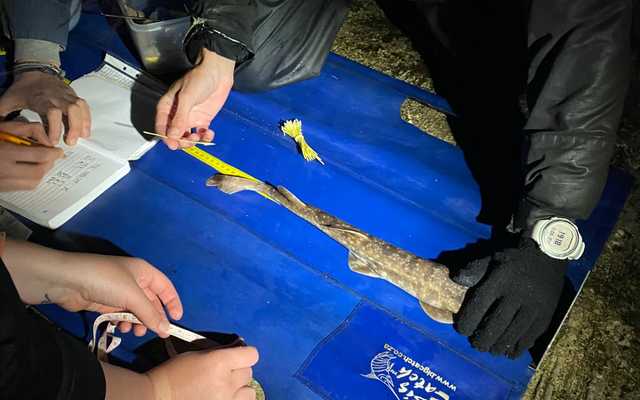 WhatsApp_Image_2021_10_14_at_08.41.55_1_1634203470