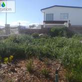 Water-wise Irrigation Needs - Eco-Flo Irrigation- Xplorioâ„¢ Gansbaai