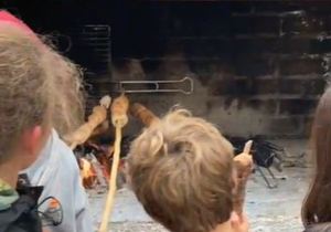 Farm-Style Breakfast atÂ Beloftebos Farm Cottages