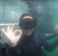 Guest video of her shark trip withÂ White Shark Projects