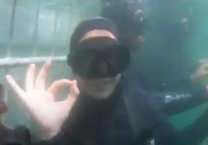 Guest video of her shark trip withÂ White Shark Projects