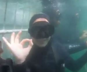 Guest video of her shark trip withÂ White Shark Projects