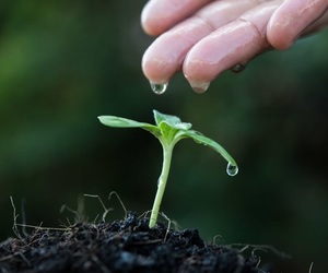 Save Time, Energy and Water!