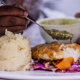 Garnishing Fish - Blue Goose - Xplorioâ„¢ Gansbaai