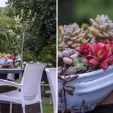 Dining in the Garden - Blue Goose - Xplorioâ„¢ Gansbaai