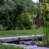 Pond - Blue Goose - Xplorioâ„¢ Gansbaai