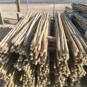 WhatsApp_Image_2021_10_19_at_15.16.26_1634708019