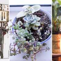 Decor - Dr Helena Hendriks - Xplorioâ„¢ Gansbaai