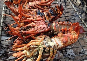 West Coast Rock Lobster Season 2021/2022 Dates Announced