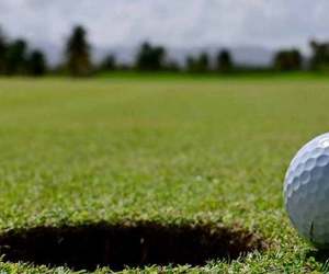 4 December 2021: BARC Fundraising Golf Day - Show Your Support