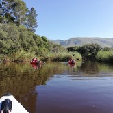 Kayaking Tour - Alpha Sierra Adventures - Xplorioâ„¢ Stanford