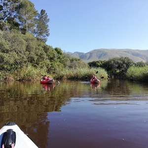 244529457_229754615861862_8810272834392937019_n_1_1635229493