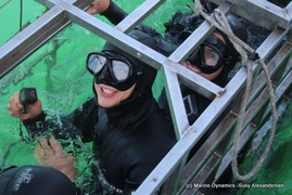 Daily Blog: 25 October 2021 | Shark Cage Diving in South Africa