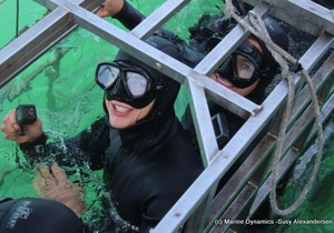 Daily Blog: 25 October 2021 | Shark Cage Diving in South Africa