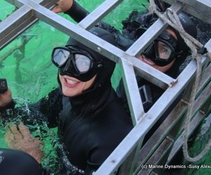 Daily Blog: 25 October 2021 | Shark Cage Diving in South Africa