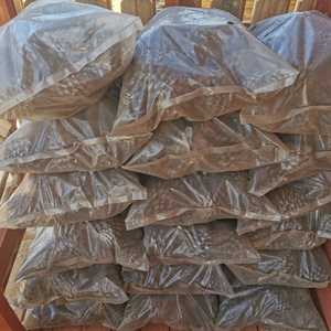 WhatsApp_Image_2021_10_26_at_14.48.00_1635318730