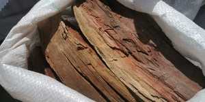 WhatsApp_Image_2021_10_26_at_14.48.01_1635318731