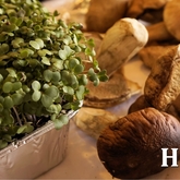 So fresh, it's sometimes still growing when you buy it... - Dal-Italia Delicatessen - Xplorioâ„¢ Hermanus