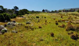 R895,000 | 4,011mÂ² Vacant Land For Sale in Baardskeerdersbos