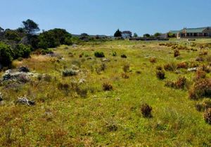 R895,000 | 4,011mÂ² Vacant Land For Sale in Baardskeerdersbos